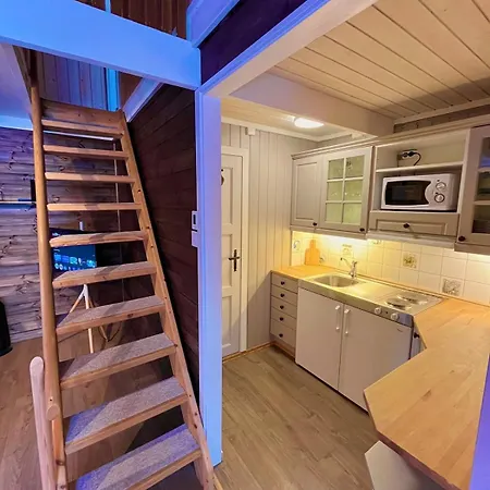 Cozy 3 In Golsfjellet