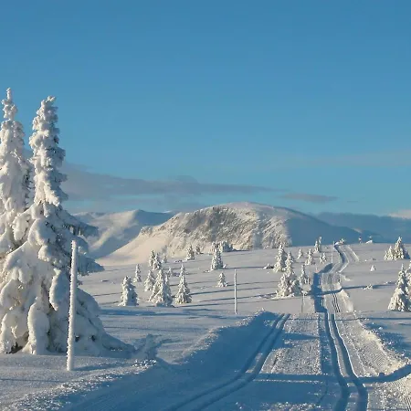 Cozy 3 In Golsfjellet * Gol