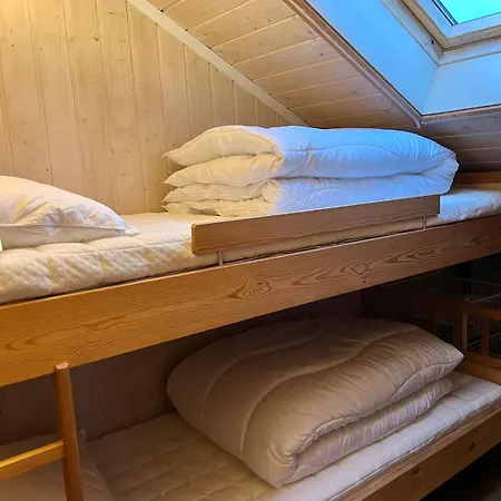 Cozy 3 In Golsfjellet