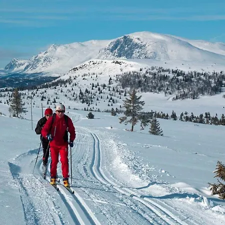 Appartement Modern In Amazing Hiking Area! Gol