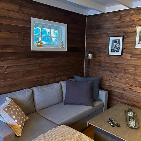 Cozy 3 In Golsfjellet Apartment